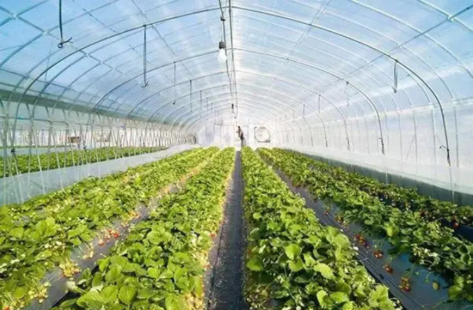 有機肥建廠，選原料和輔料一定得考慮這些……