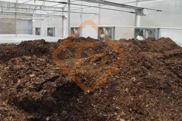 印度：蚯蚓把城市有機垃圾變成絕佳肥料